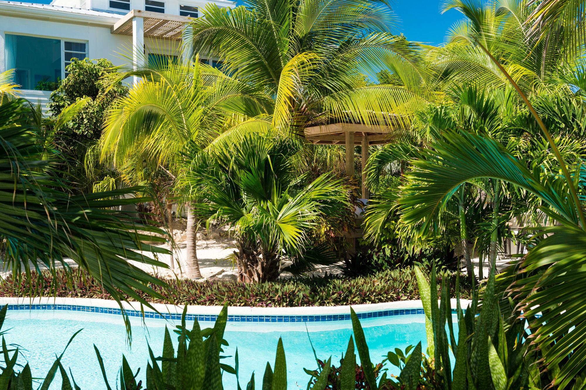 The Oasis At Grace Bay Hotel Екстериор снимка